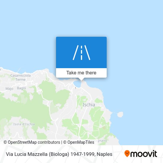 Via Lucia Mazzella (Biologa) 1947-1999 map