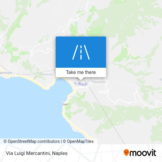 Via Luigi Mercantini map