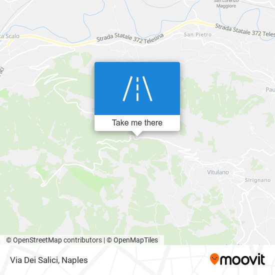 Via Dei Salici map
