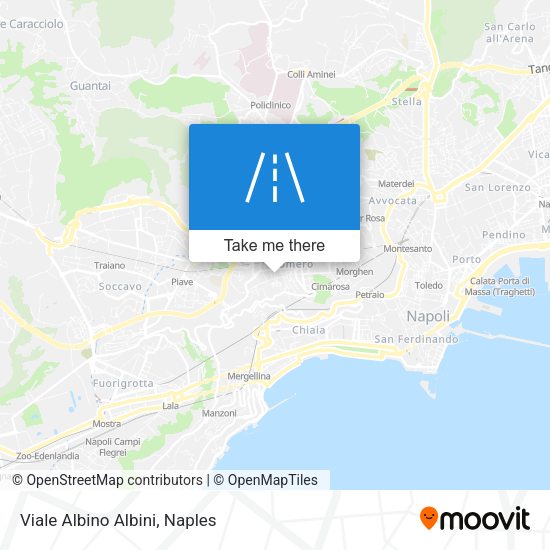 Viale Albino Albini map