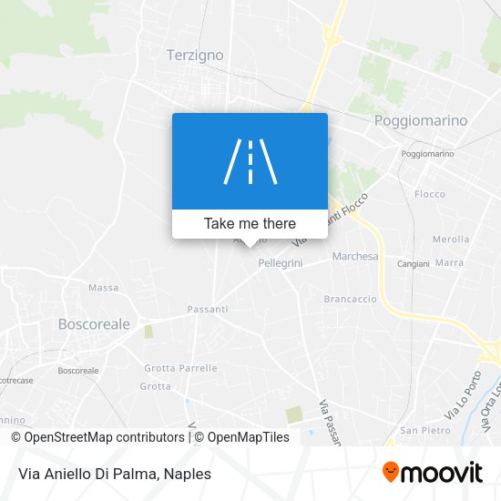 Via Aniello Di Palma map