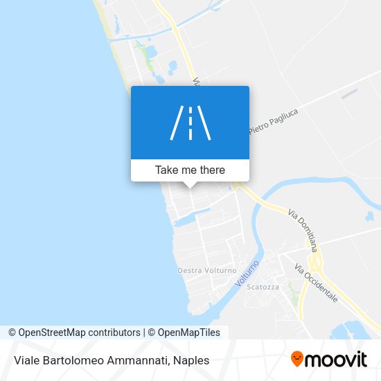 Viale Bartolomeo Ammannati map