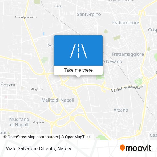 Viale Salvatore Ciliento map