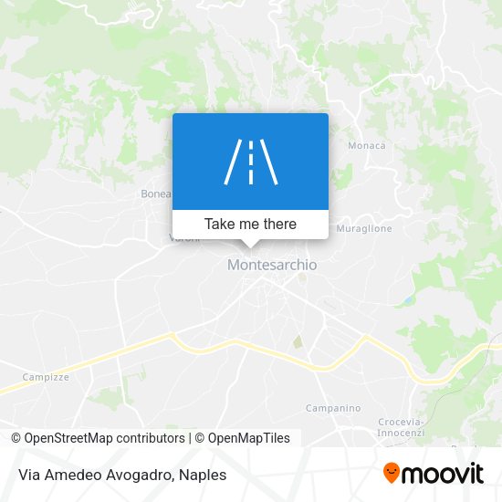 Via Amedeo Avogadro map