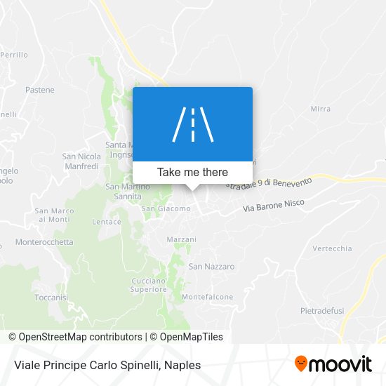 Viale Principe Carlo Spinelli map