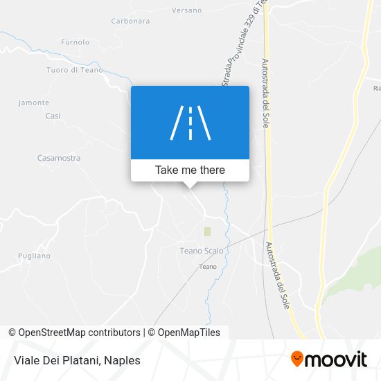 Viale Dei Platani map