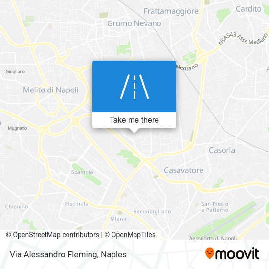 Via Alessandro Fleming map