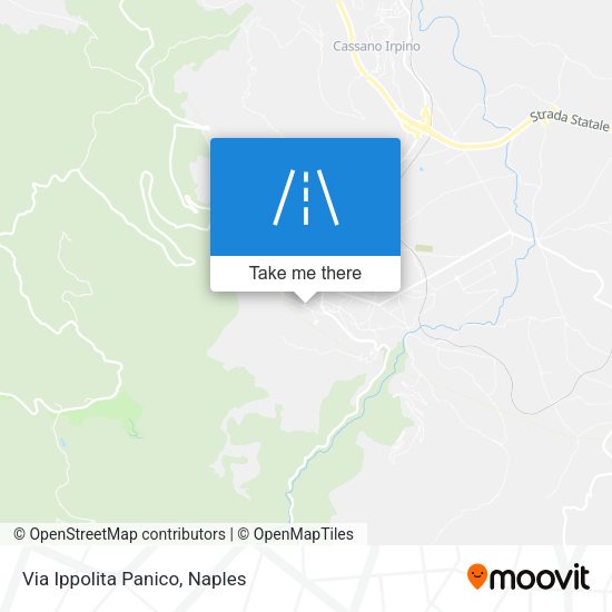 Via Ippolita Panico map
