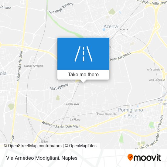 Via Amedeo Modigliani map