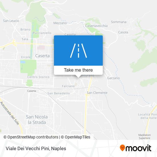 Viale Dei Vecchi Pini map