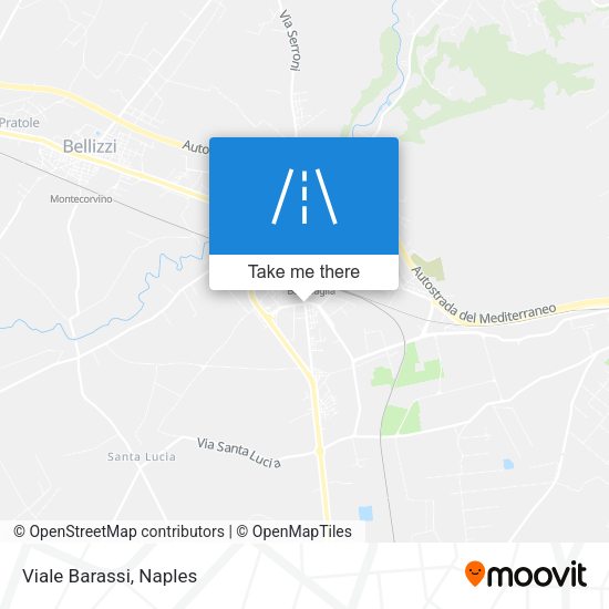 Viale Barassi map