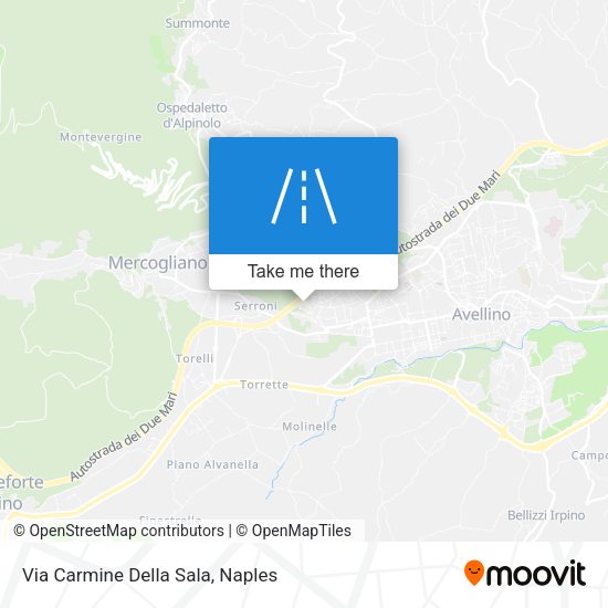 Via Carmine Della Sala map