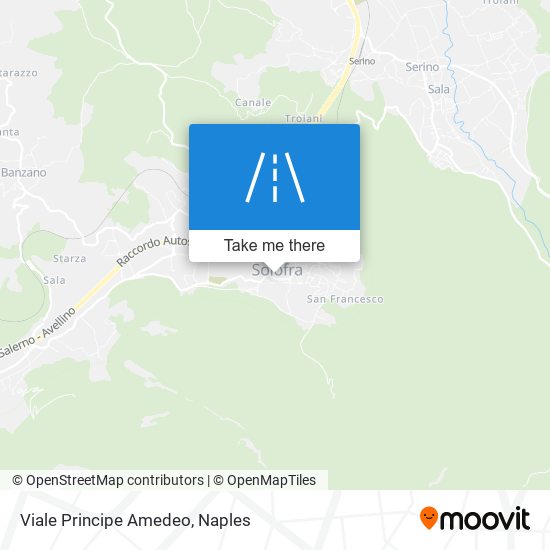 Viale Principe Amedeo map