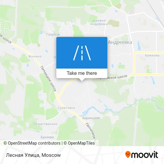 Лесная Улица map