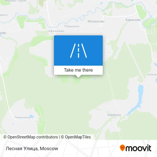 Лесная Улица map