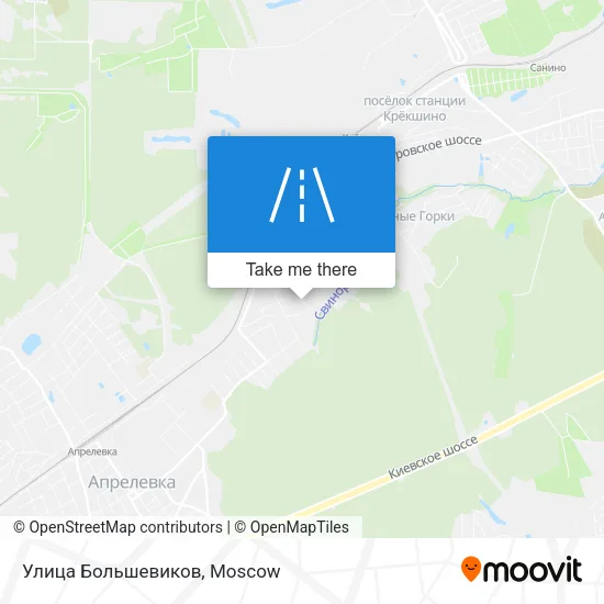 Улица Большевиков map