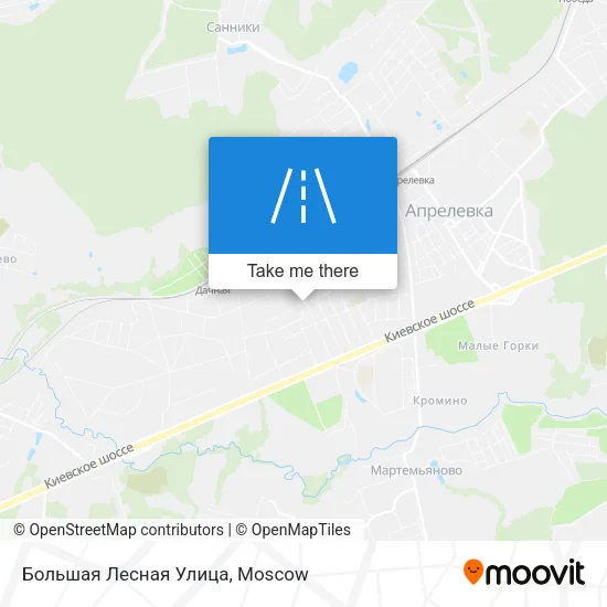 Большая Лесная Улица map