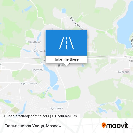 Тюльпановая Улица map