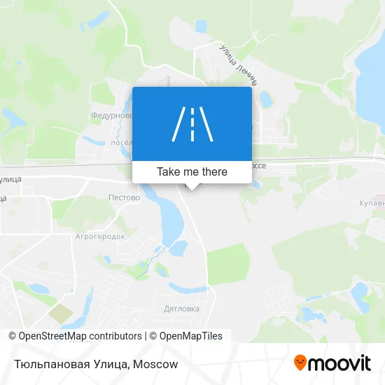 Тюльпановая Улица map