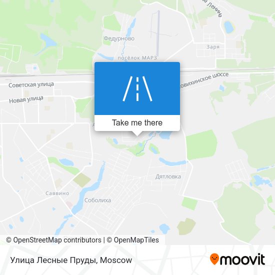 Улица Лесные Пруды map