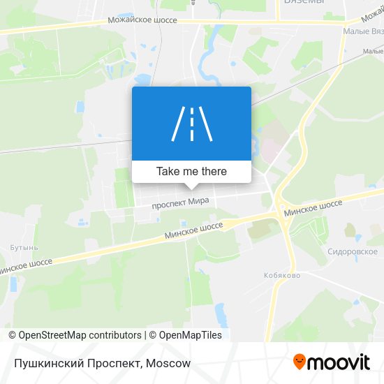 Пушкинский Проспект map