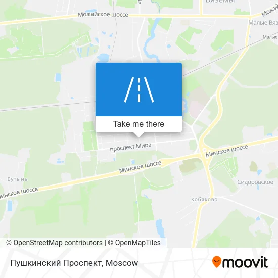 Пушкинский Проспект map