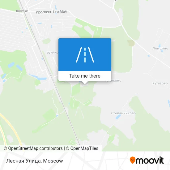 Лесная Улица map