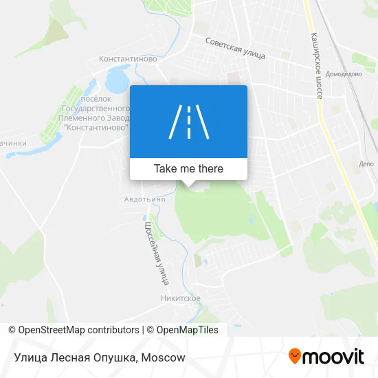 Улица Лесная Опушка map