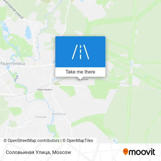 Соловьиная Улица map