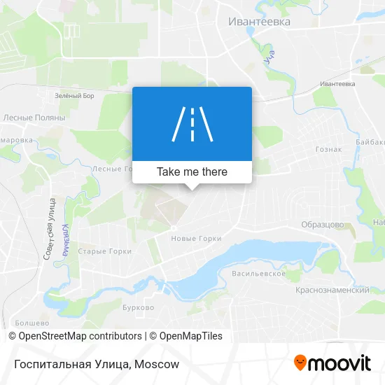 Госпитальная Улица map