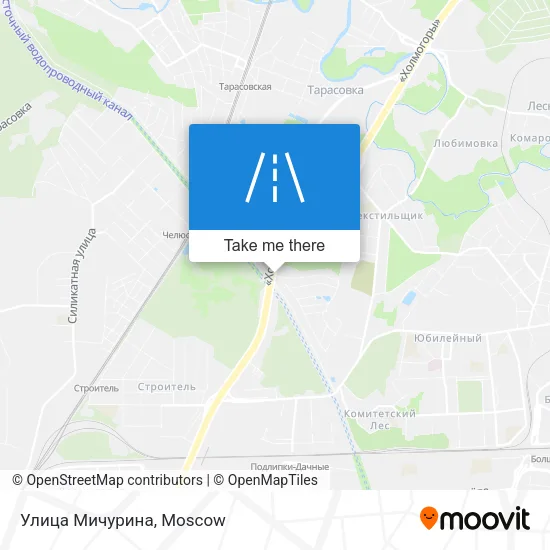 Улица Мичурина map