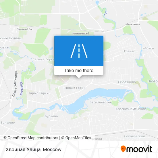 Хвойная Улица map