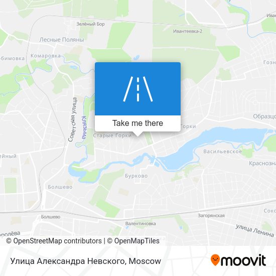 Улица Александра Невского map