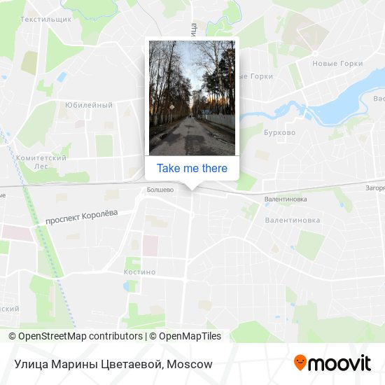 Улица Марины Цветаевой map