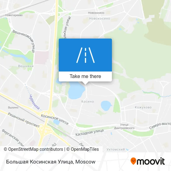 Большая Косинская Улица map
