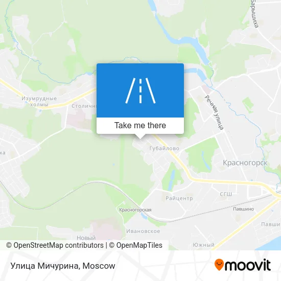 Улица Мичурина map