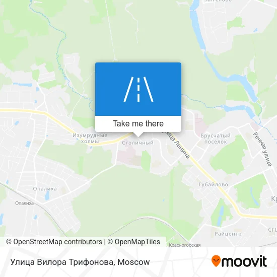 Улица Вилора Трифонова map