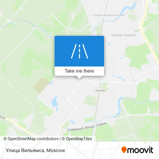 Улица Вильямса map