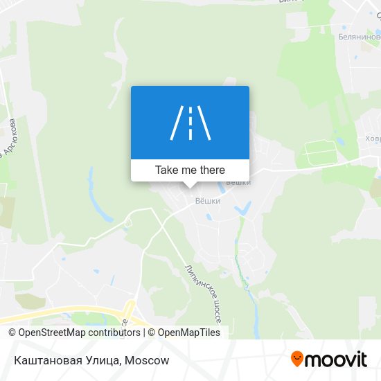 Каштановая Улица map