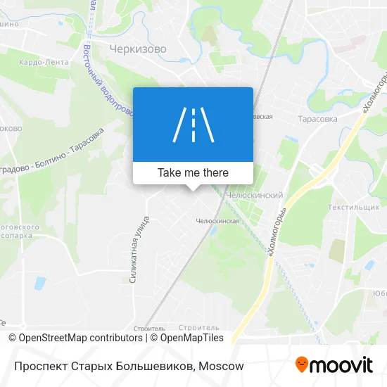 Проспект Старых Большевиков map