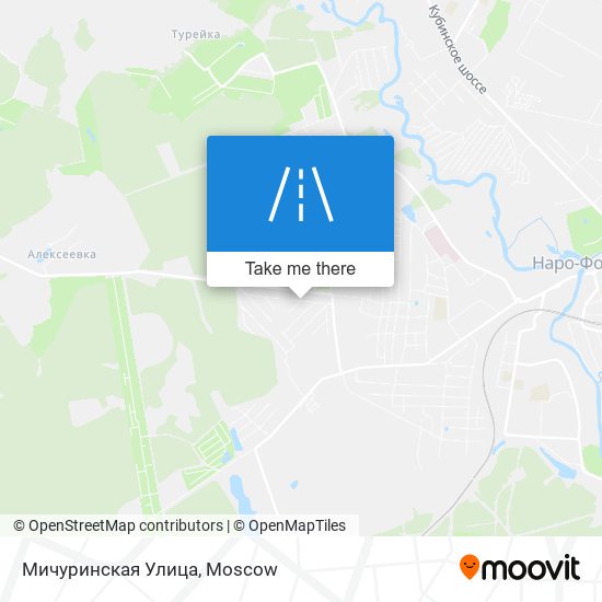 Мичуринская Улица map