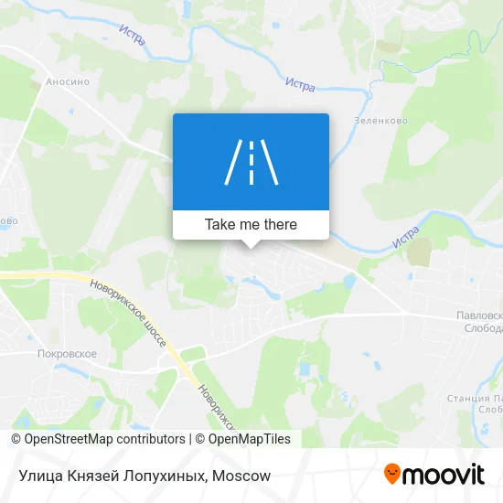 Улица Князей Лопухиных map