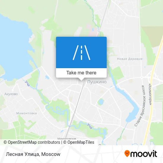 Лесная Улица map