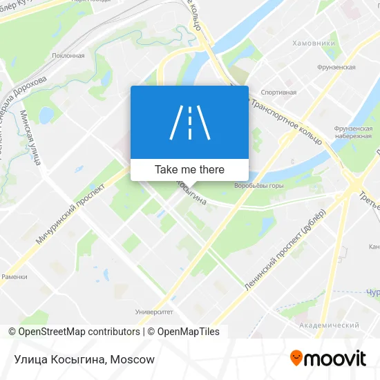 Улица Косыгина map