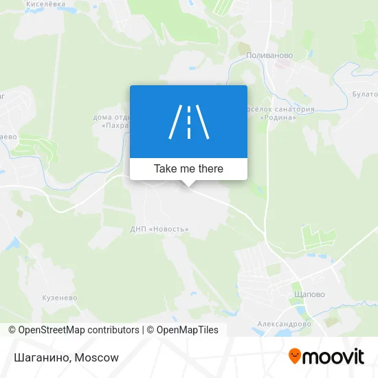 Шаганино map