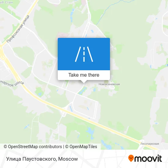 Улица Паустовского map