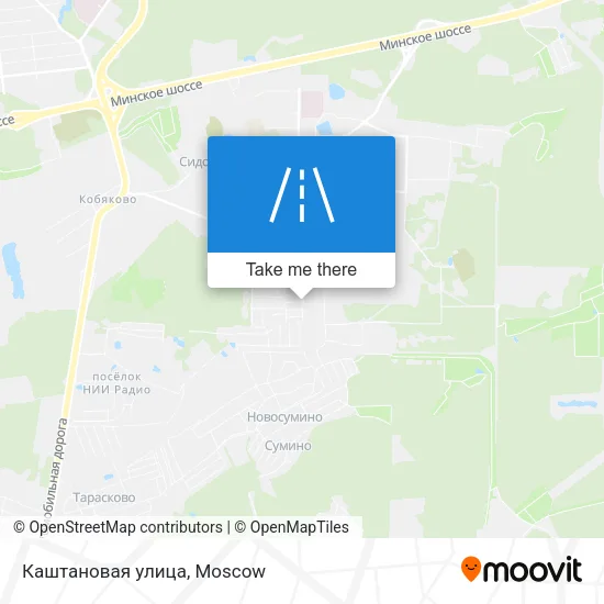 Каштановая улица map