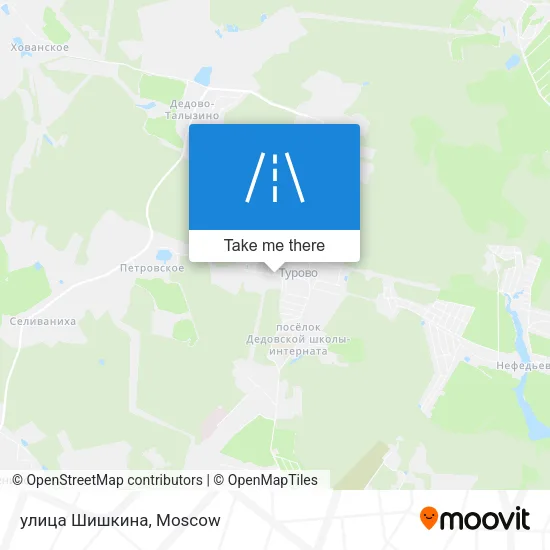 улица Шишкина map