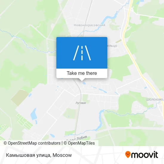 Камышовая улица map