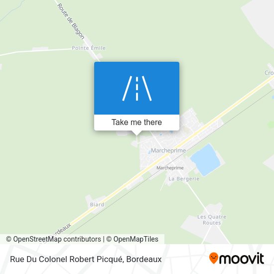 Rue Du Colonel Robert Picqué map